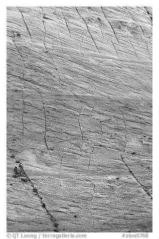 Rock wall with checkboard patterns, Zion Plateau. Zion National Park, Utah, USA.