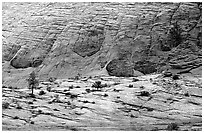 Sandstone checkboard patterns, Zion Plateau. Zion National Park, Utah, USA. (black and white)