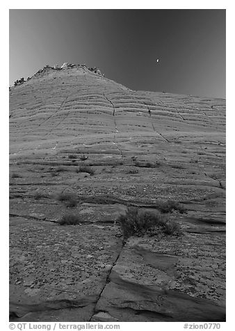 Checkerboard Mesa seen from base, Zion Plateau. Zion National Park, Utah, USA.