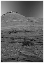 Checkerboard Mesa seen from base, Zion Plateau. Zion National Park, Utah, USA. (black and white)