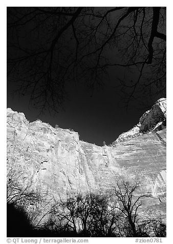 Temple of Sinawava. Zion National Park, Utah, USA.