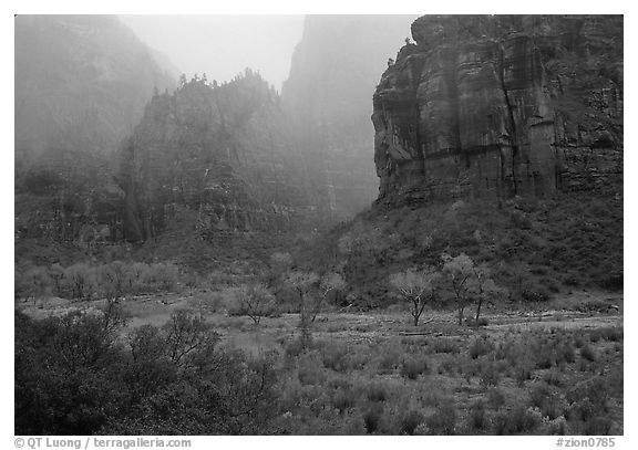 Rainy afternoon, Zion Canyon. Zion National Park (black and white)