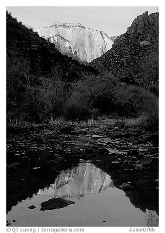 West temple reflected in Pine Creek, sunrise. Zion National Park, Utah, USA.