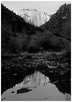 West temple reflected in Pine Creek, sunrise. Zion National Park, Utah, USA. (black and white)