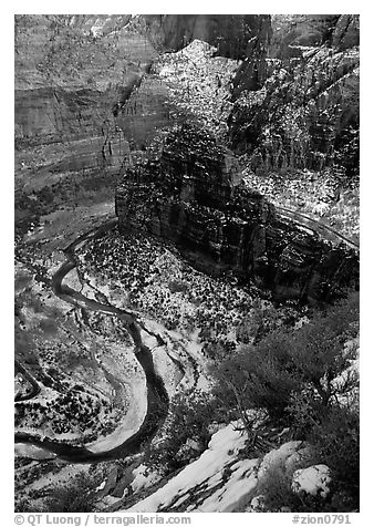 Virgin river and Canyon walls from the summit of Angel's landing in winter. Zion National Park (black and white)