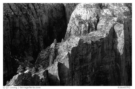Cliffs seen from above near Angel's landing. Zion National Park (black and white)