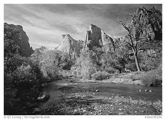 Court of the Patriarchs, Virgin River, and trees in fall color. Zion National Park, Utah, USA.