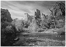 Court of the Patriarchs, Virgin River, and trees in fall color. Zion National Park, Utah, USA. (black and white)