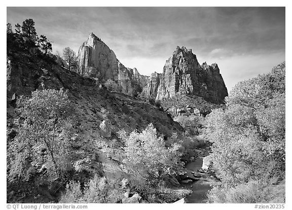 Court of the Patriarchs and Virgin River, afternoon. Zion National Park, Utah, USA.