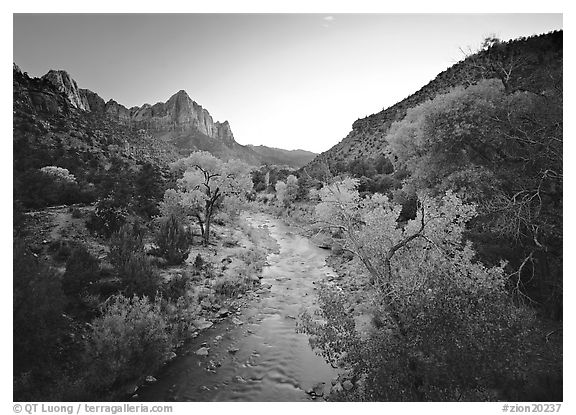 Virgin River and Watchman catching last sunrays of the day. Zion National Park, Utah, USA.