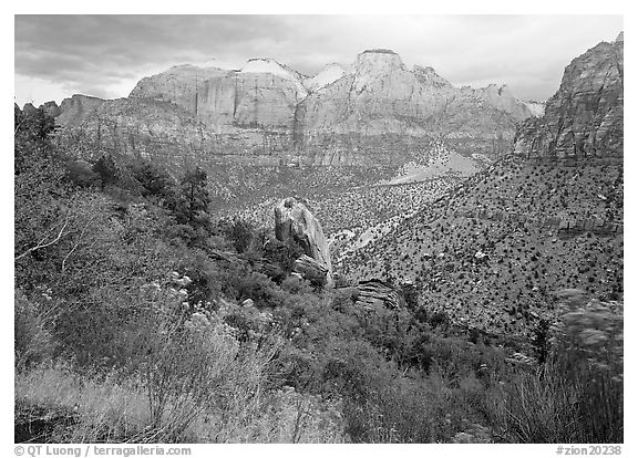 Towers of the Virgin in rainy weather. Zion National Park, Utah, USA.