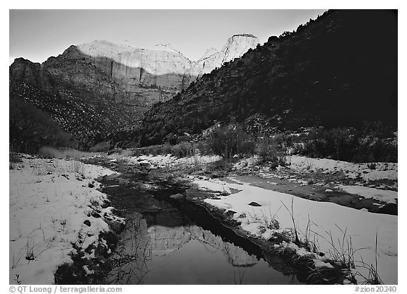 Snowy Pine Creek and Towers of the Virgin, sunrise. Zion National Park, Utah, USA.