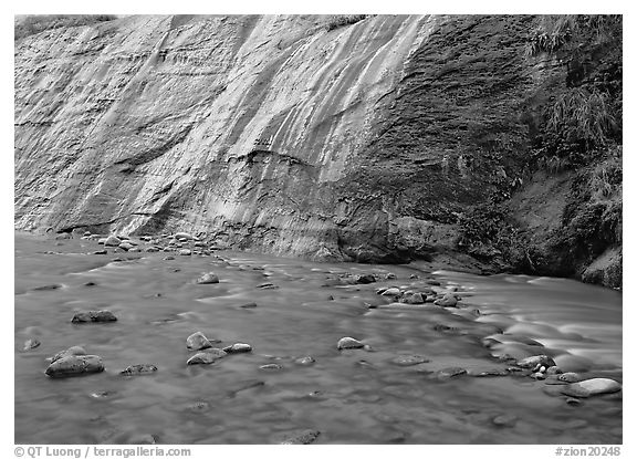 Mystery falls flowing into the Virgin River, the Narrows. Zion National Park (black and white)
