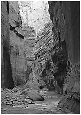 Virgin River and rock walls,  Narrows. Zion National Park, Utah, USA. (black and white)