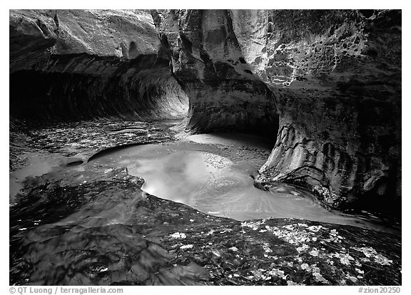 Water flowing in pools in the Subway, Left Fork of the North Creek. Zion National Park (black and white)