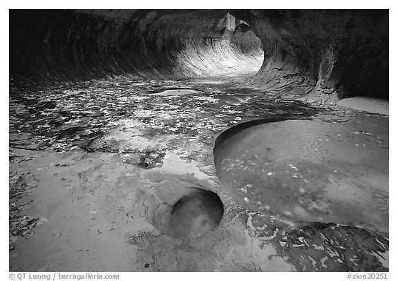 Pools and fallen leaves, the Subway. Zion National Park (black and white)