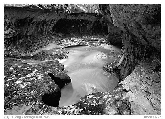 North Creek flowing over fallen leaves, the Subway. Zion National Park, Utah, USA.