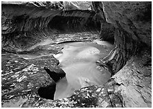 North Creek flowing over fallen leaves, the Subway. Zion National Park, Utah, USA. (black and white)
