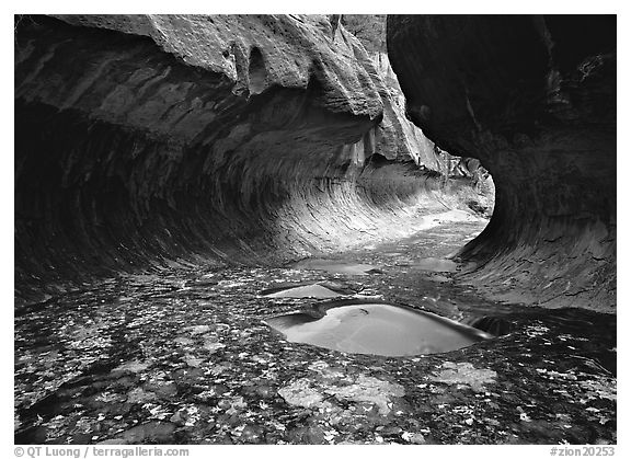 Narrow canyon carved in tunnel-like shape, the Subway. Zion National Park, Utah, USA.