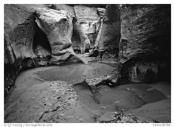 Pools and slot canyon rock walls, the Subway. Zion National Park (black and white)