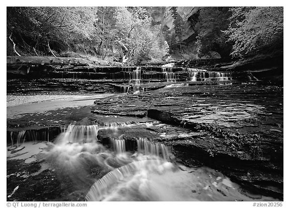 North Creek flowing over red travertine terraces in autumn. Zion National Park (black and white)