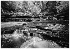 North Creek flowing over red travertine terraces in autumn. Zion National Park, Utah, USA. (black and white)