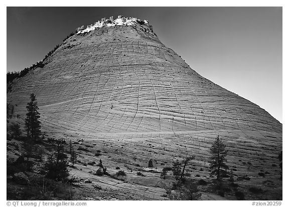 Checkerboard Mesa, sunrise. Zion National Park (black and white)