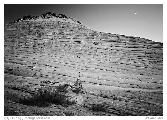 Checkerboard Mesa and moon. Zion National Park (black and white)