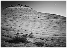 Checkerboard Mesa seen from base and moon. Zion National Park, Utah, USA. (black and white)