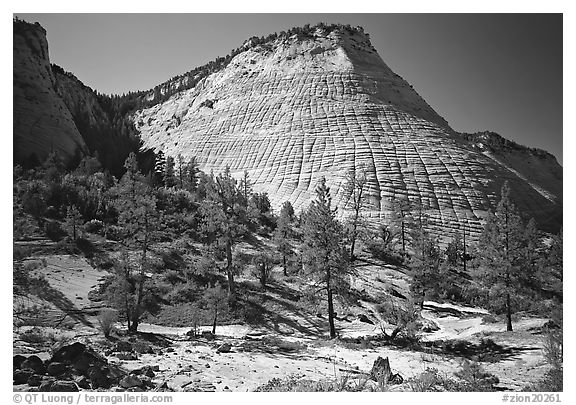 Checkerboard Mesa, morning. Zion National Park (black and white)