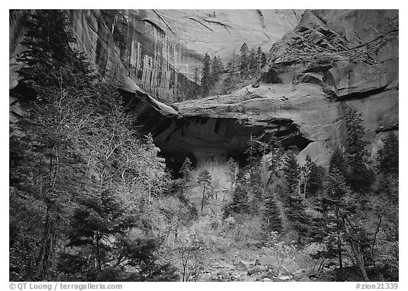 Double Arch Alcove, Middle Fork of Taylor Creek. Zion National Park, Utah, USA.