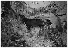 Double Arch Alcove, Middle Fork of Taylor Creek. Zion National Park, Utah, USA. (black and white)