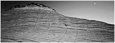 Checkered pattern on Checkboard Mesa. Zion National Park (Panoramic black and white)