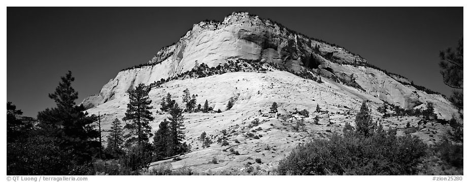 Sandstone bluff, Zion Plateau. Zion National Park (black and white)