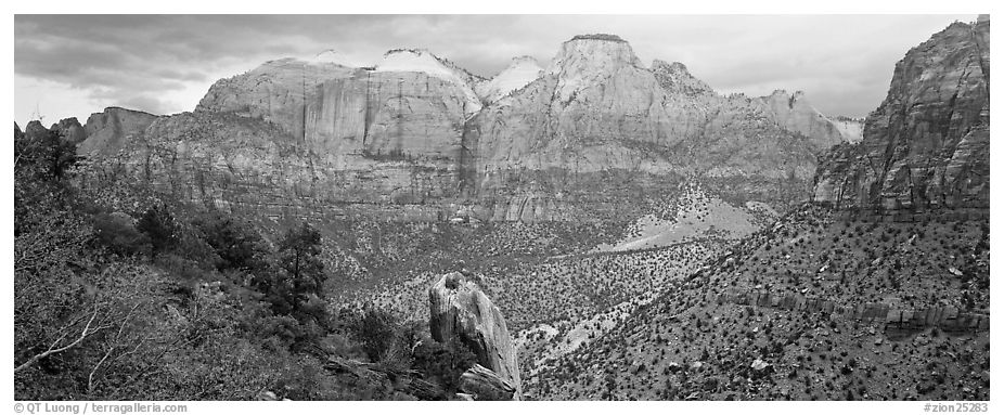Towers of the Virgin View. Zion National Park (black and white)