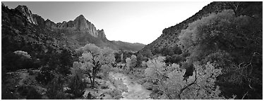 Pictures of Zion