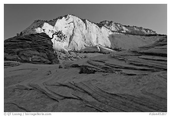 Swirls and cliffs at sunrise, Zion Plateau. Zion National Park, Utah, USA.