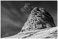 Twisted sandstone formation topped by tree. Zion National Park, Utah, USA. (black and white)