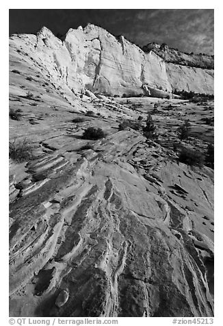 Sandstone swirls and cliff, Zion Plateau. Zion National Park (black and white)