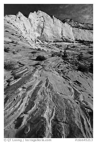 Sandstone swirls and cliff, Zion Plateau. Zion National Park, Utah, USA.