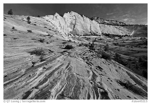 Pink sandstone swirls and white cliff. Zion National Park (black and white)