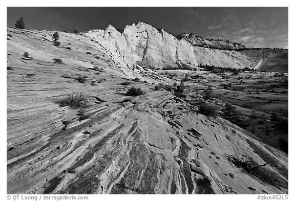 Pink sandstone swirls and white cliff. Zion National Park, Utah, USA.