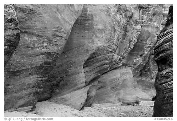 Rocks polished by water in gorge. Zion National Park (black and white)