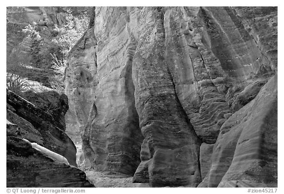Rocks sculptured by water, Zion Plateau. Zion National Park (black and white)