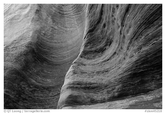 Detail of rock wall eroded by water. Zion National Park, Utah, USA.