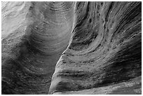Detail of rock wall eroded by water. Zion National Park, Utah, USA. (black and white)