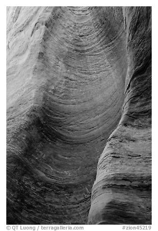 Detail of sandstone wall carved by flash floods. Zion National Park, Utah, USA.