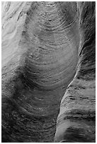 Detail of sandstone wall carved by flash floods. Zion National Park, Utah, USA. (black and white)
