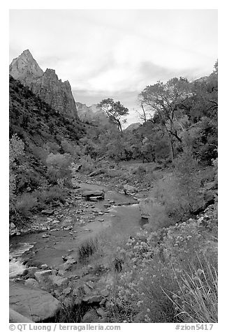 Virgin River in Zion Canyon, afternoon. Zion National Park, Utah, USA.