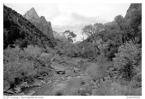 Zion Canyon and Virgin River in the fall. Zion National Park, Utah, USA.